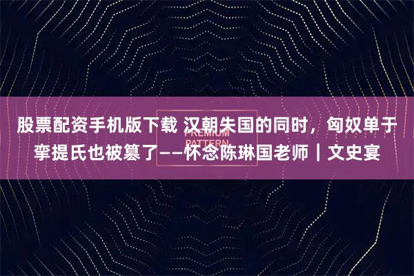 股票配资手机版下载 汉朝失国的同时，匈奴单于挛提氏也被篡了——怀念陈琳国老师｜文史宴