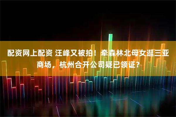 配资网上配资 汪峰又被拍！牵森林北母女逛三亚商场，杭州合开公司疑已领证？